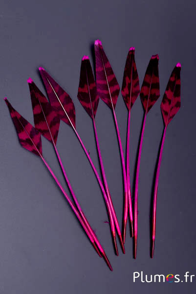 Tétras des bois flèche  - 19-21 cm - fuchsia-café